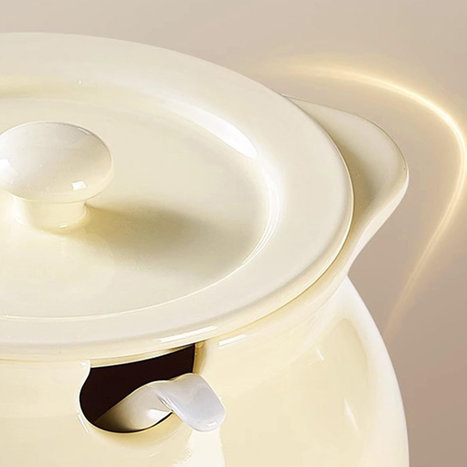 Barattolo con Coperchio, Contenitore per spezie in Ceramica, zuccheriera, Barattolo per Sale in Porcellana e Ceramica, Contenitore per spezie in zuccheriera (Bianco)