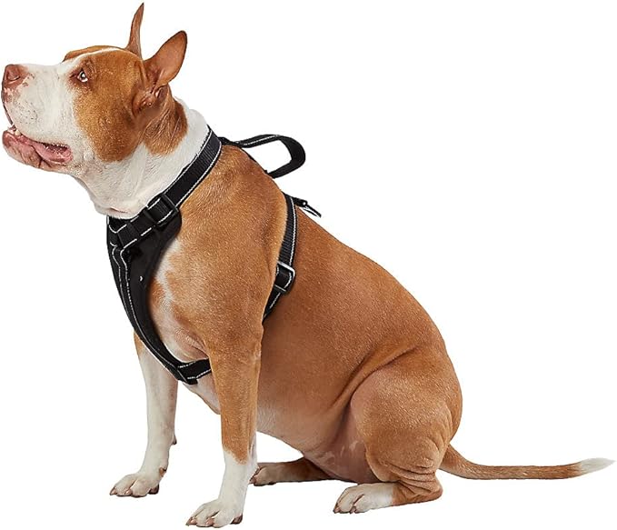 kong dog harness amazon