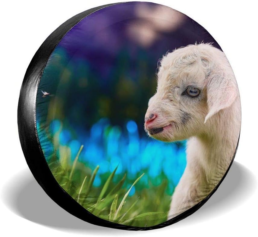 DARAJZ Cubs Goat Grass Classic Accessories Liberty Spare