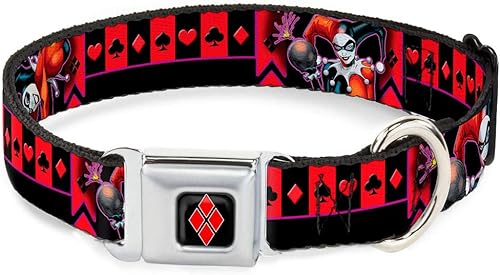 Buckle-Down HARLEY QUINN - Collar de perro con hebilla para cinturón de seguridad, para posturas de bomba, color negro, morado, rojo, 1 pulgada de