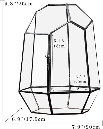 Miniatura 5 de NCYP Cerrar Terrario geométrico de vidrio con puerta - Maceta de vidrio irregular negra de 9.8 pulgadas de alto - Maceta moderna hecha a mano para