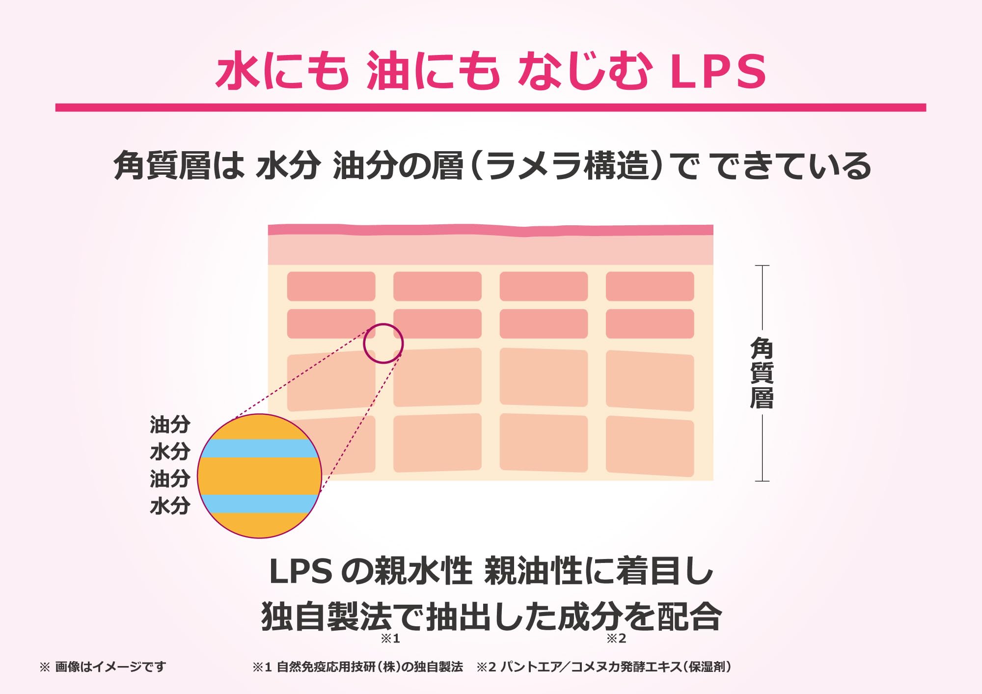 Amazon.co.jp: ANNSILKY (アンシルキー) オールインワンジェル 50g 約 