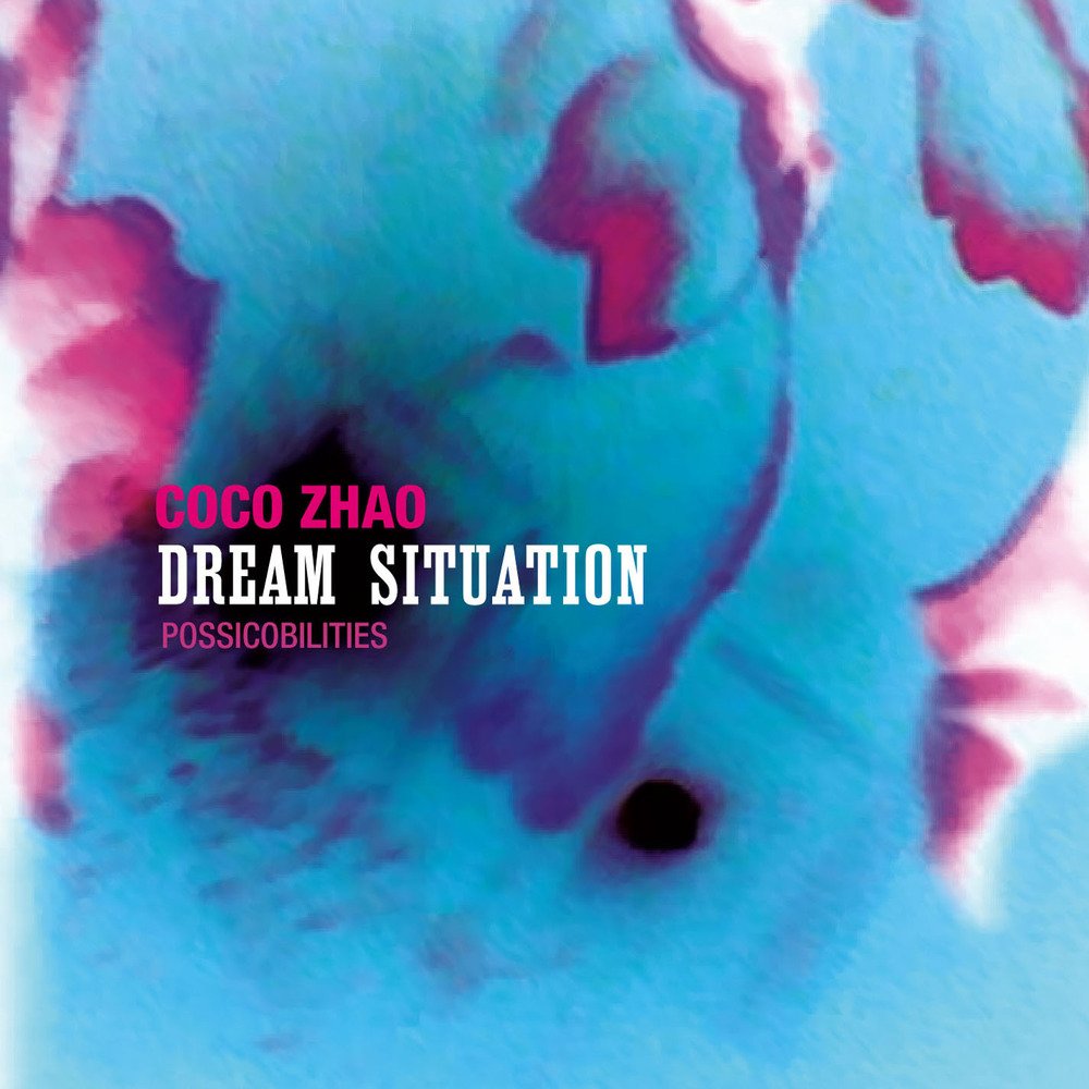DREAM SITUATION - POSSICOBILIT [Audio CD] COCO ZHAO
