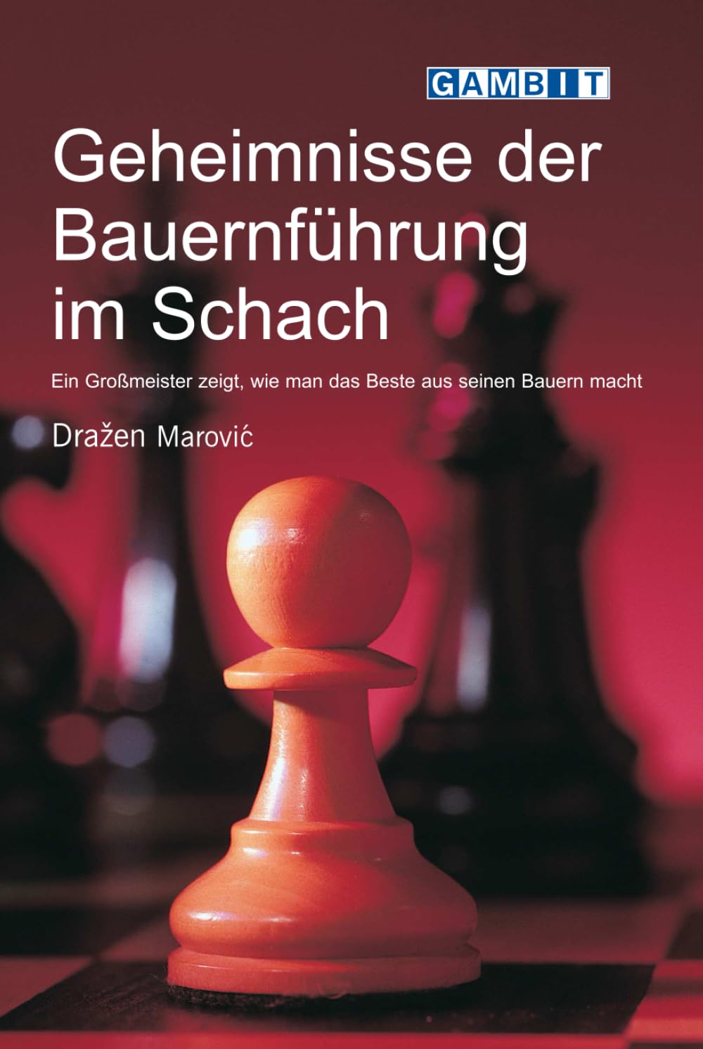 Geheimnisse der Bauernführung im Schach (Schachgeheimnisse)