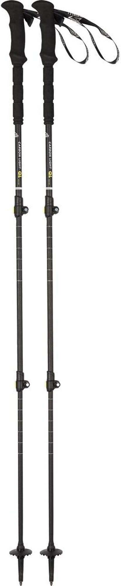 mckinley hiking poles