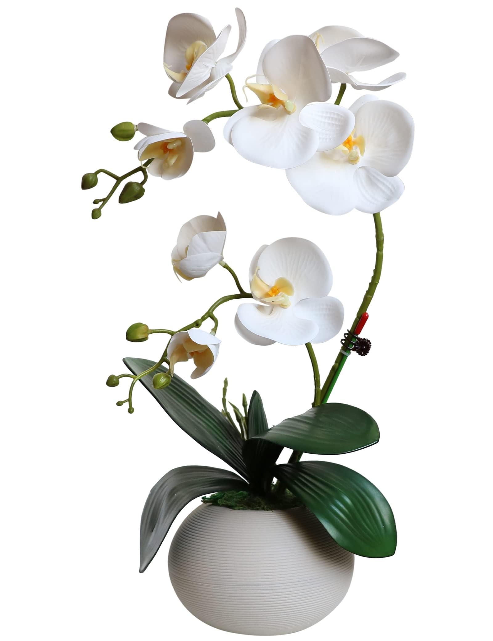 Forlaoers Tall 17" White Real Touch Orchid Artificial Flowers with Vase Fake Orchids Silk Floral for Home Decor Indoor Bathroom Decoration Potted Office Table Top Centerpieces Arrangements