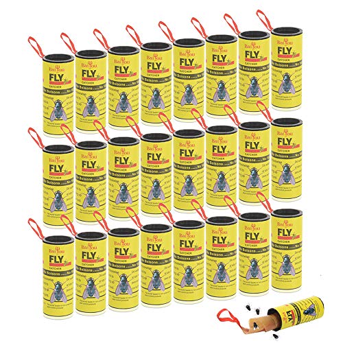 BaiYou - Tiras de Papel para atrapar Moscas de Frutas, para Uso en Interiores y Exteriores (24 Unidades), Color Amarillo Cover
