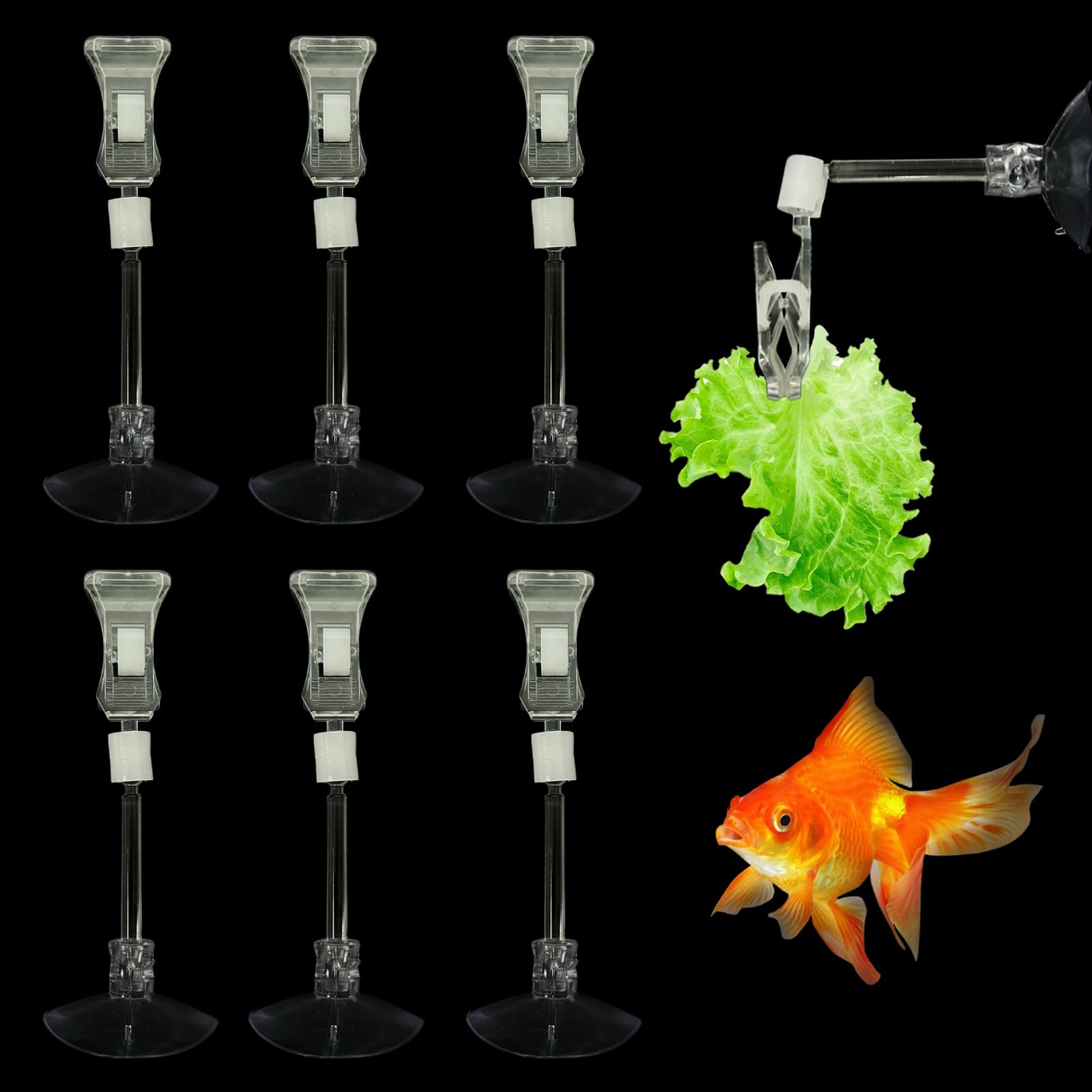 6 Pack Aquarium Suction Cups with Clips Fishes Veggie Seaweed Plant Suction Cup Clip Fish Feeding Tool Fresh