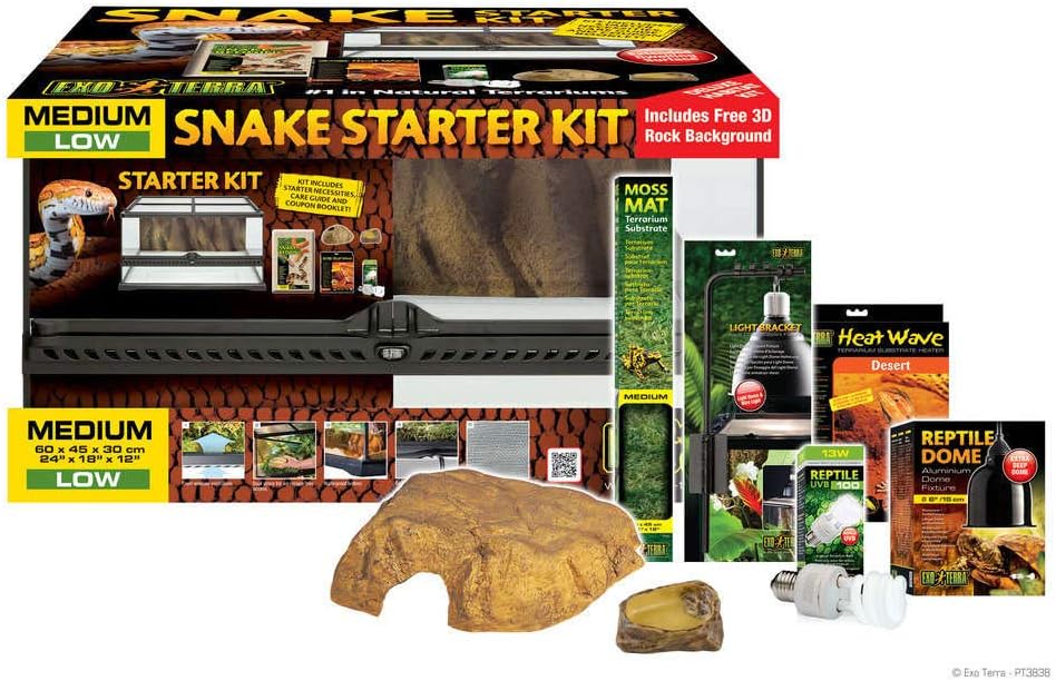 leopard gecko starter kit amazon