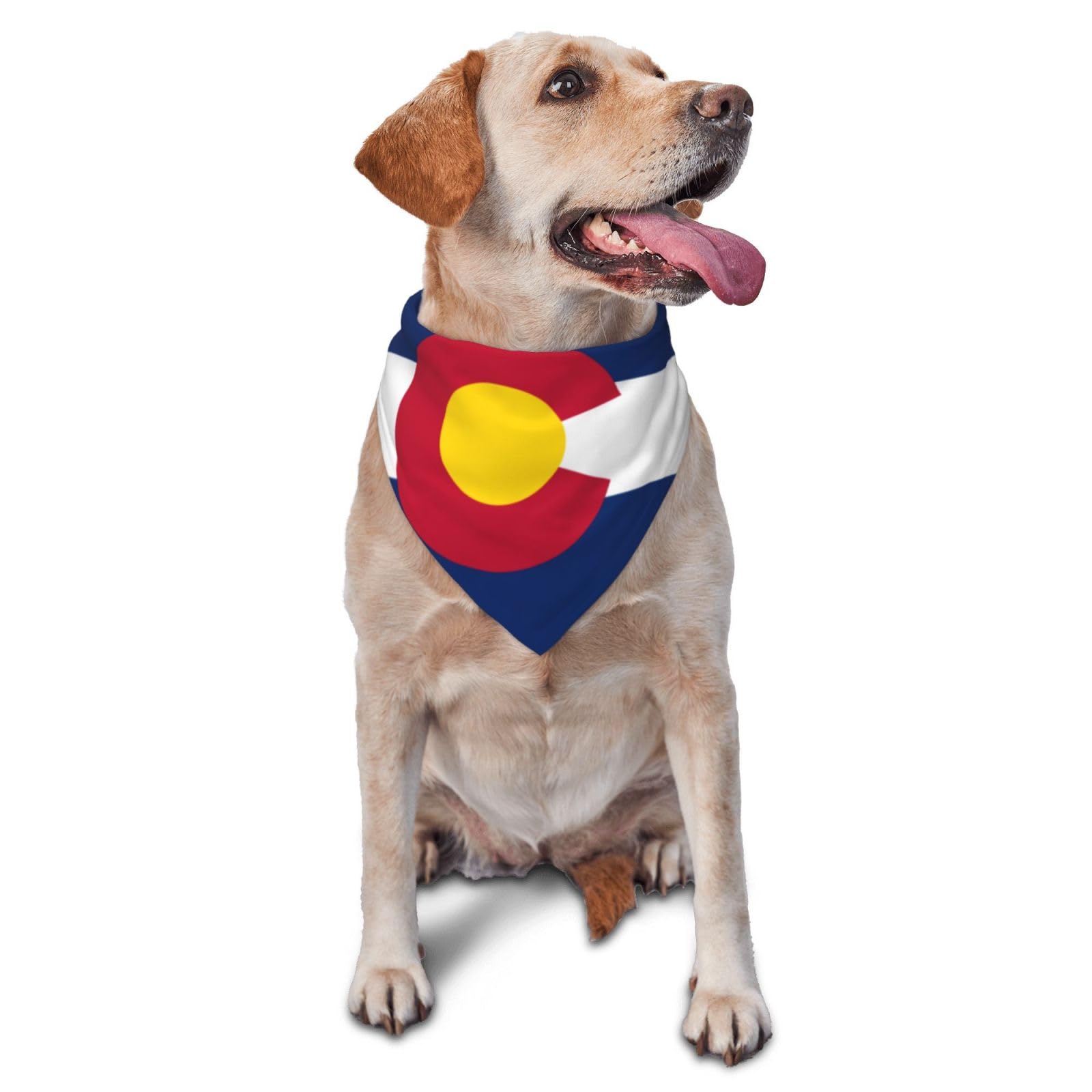 Flag of Colorado Dog Scarf Pet Bandana Cat Pet Bibs