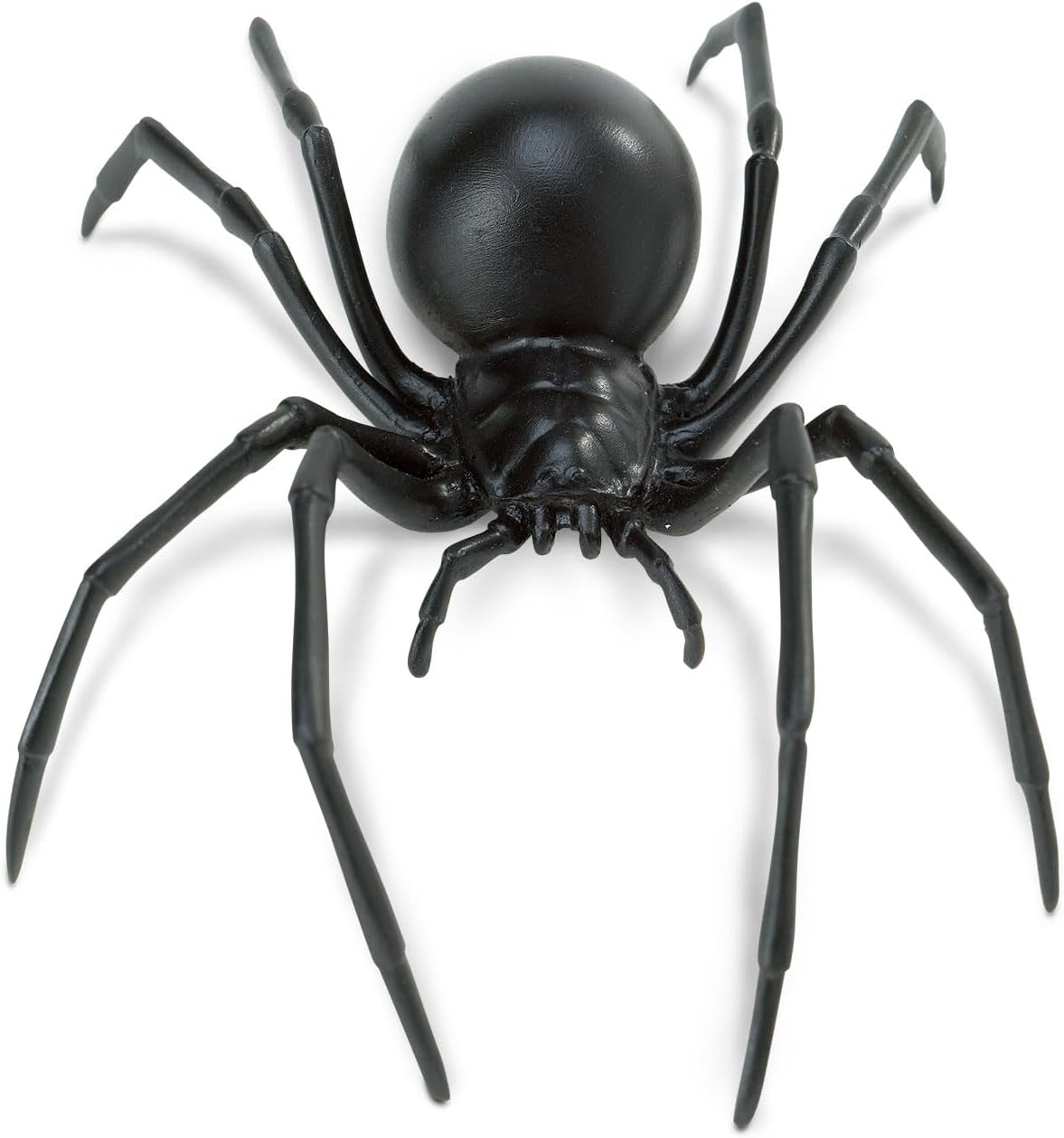 Safari Black Widow Spider