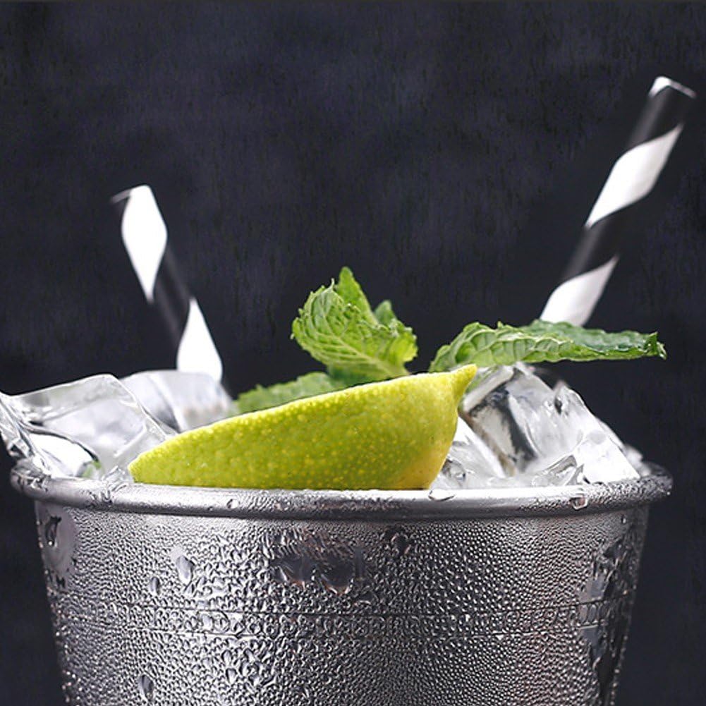 Gobelets Mint Julep, Verres Classiques en Acier Inoxydable pour Bar De Fête, Restaurant À Domicile, Verres À Cocktail en Métal pour Bière, Jus De Boisson, Argent