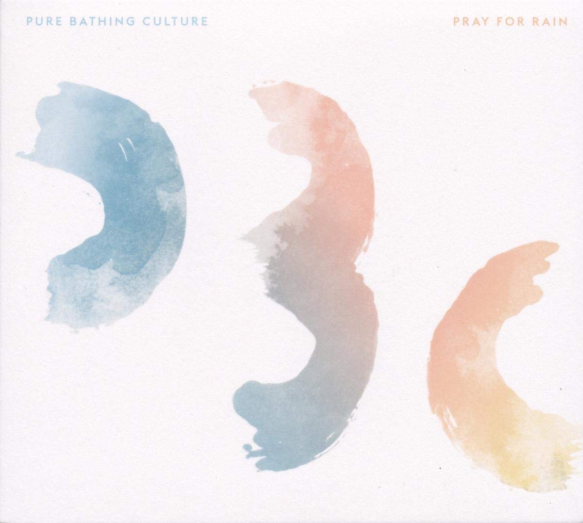 Pray For Rain [VINYL]