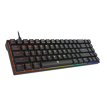 DREVO Calibur V2 RGB 60% Wired Mechanical Gaming Keyboard, 71-Key Small Compact, Work for PC/Mac, Detachable USB Type-C, Outemu Brown Switch, Black