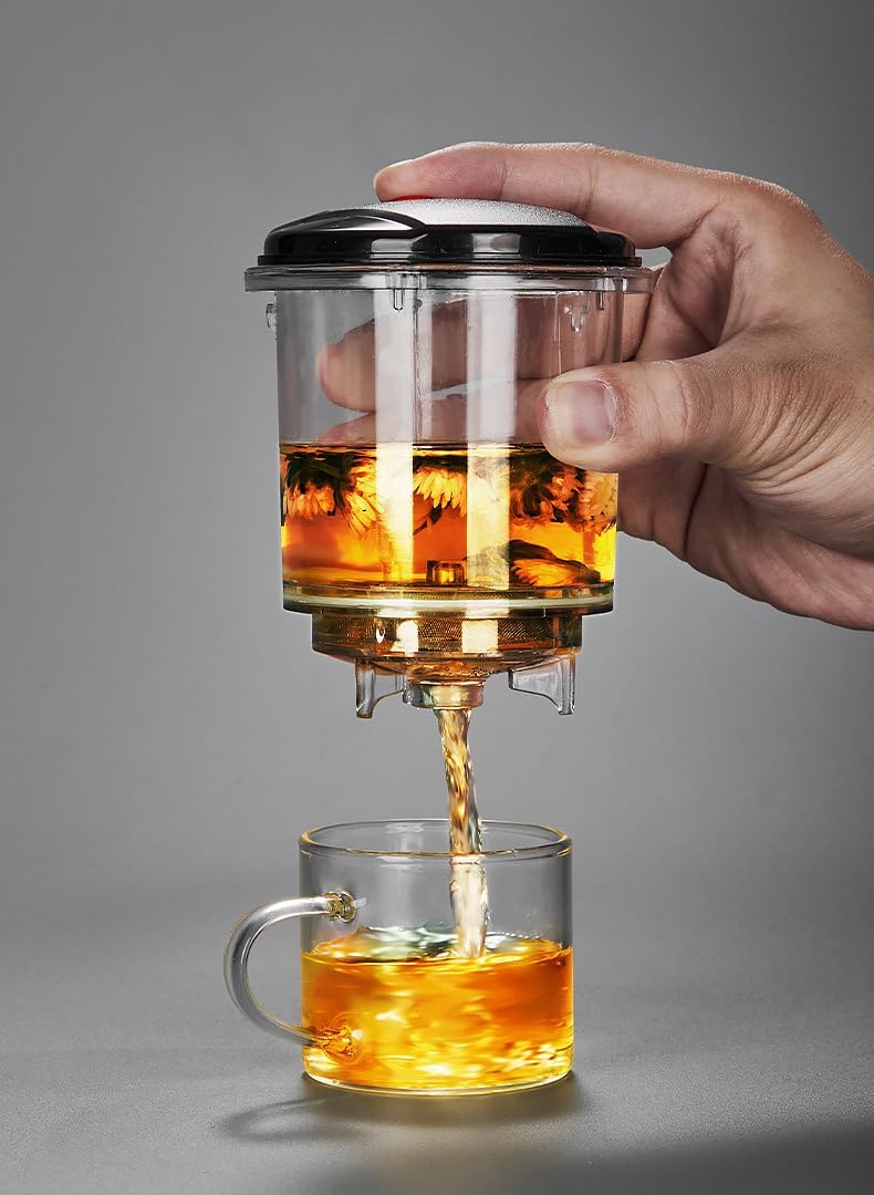 Glass Teapot with Detachable Infuser, Loose Leaf Tea Infusions, 16.9oz