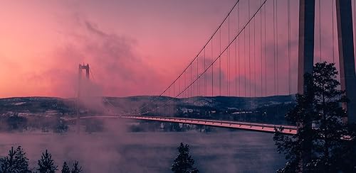 Aesthetic Wallpaper