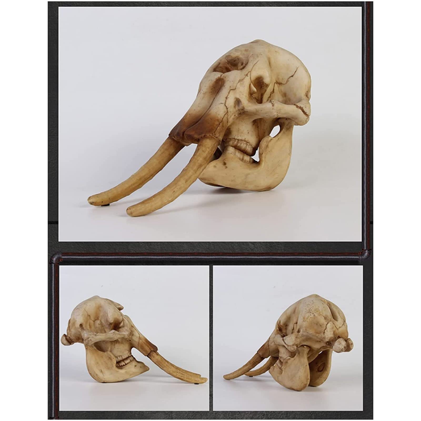 Nuova guida generale del Museo nazionale di Napoli : secundo i pi recenti  riordinamenti, image size:1600x1600