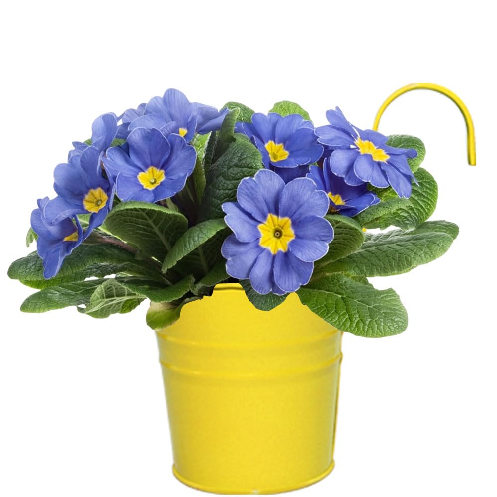 Armo® 10 x Hanging Flower Plant Pots Large Metal Flower Pot With Vase Fence Hanging Garden Planter With Drainage Hole — view 5