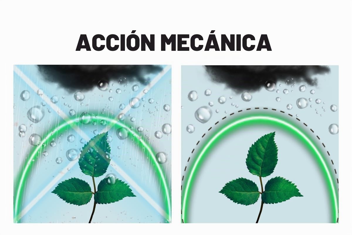 Lámina para invernadero de 6-8 m de ancho | Lámina de jardín altamente transparente y resistente para cubiertas en exteriores | Lona impermeable y resistente a los rayos UV durante 4 años