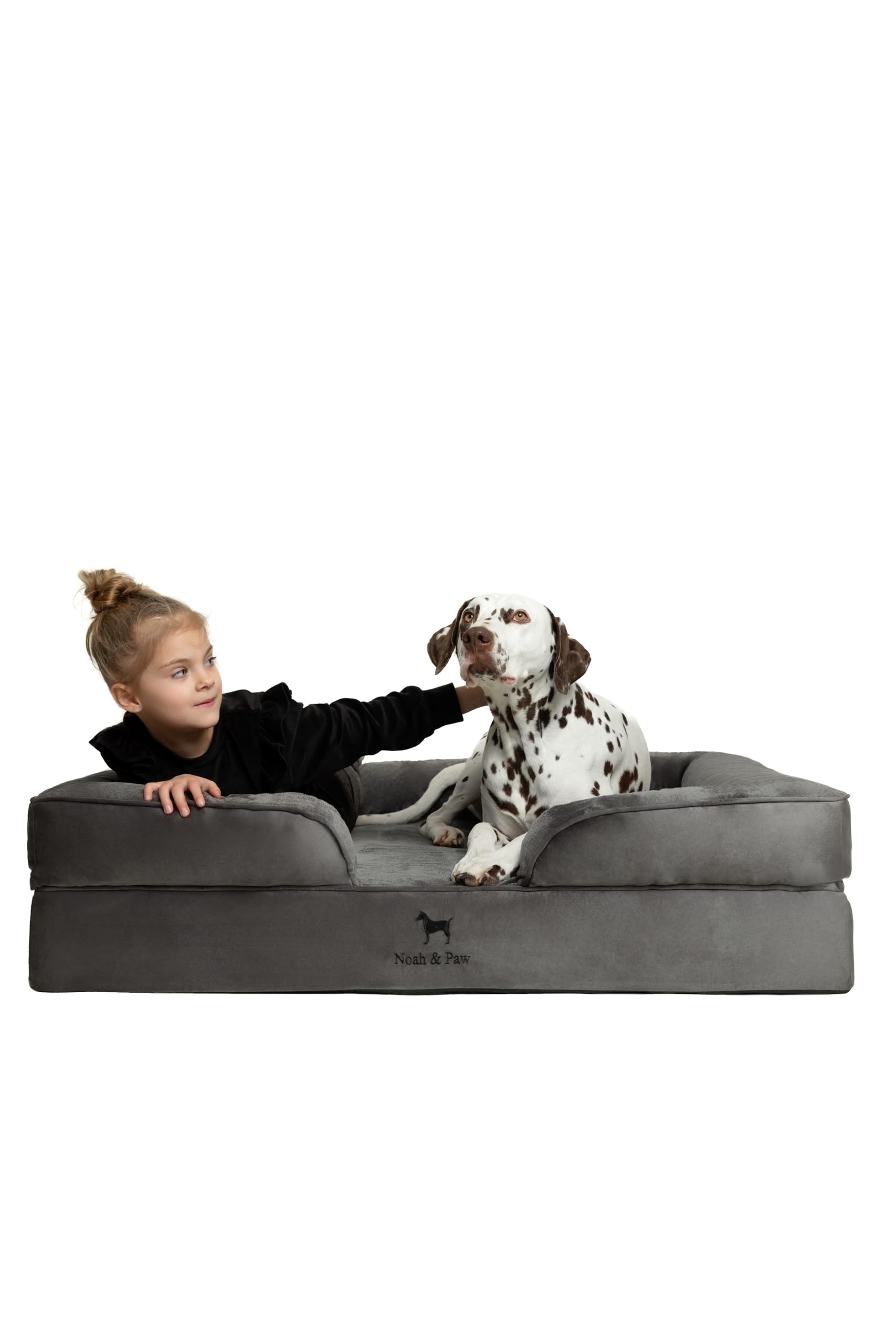 NOAH & PAW XL Dog Bed, 45x35x11 Inch, Orthopedic Large Dog Beds, Eggshell Memory Foam Infused with Cooling Gel, Inner Cover, Waterproof, Machine Washable (Velvet Sofa Collection)