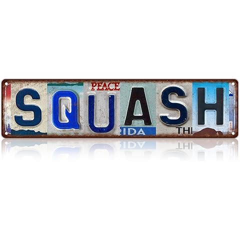 Vintage Sport Street Sign Squash Wall Decor Metal Tin Signs for Bar Home Bedroom Ga...
