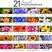 HOME GROWN 110,600+ Wildflower Seeds: Bulk Mix of 21 Varieties, Non-GMO Wild Flower Seed, Bee and Butterfly Garden Variety Pack, Annual Flowers Seeds for Planting, Native Wildflowers for Your Garden