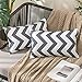 MIULEE Lot de 2 Housses de Coussins Imperméable Extérieur Géométriques Ondulés en Tissu Polyester Moderne Taie d'oreiller Concise Décoration pour Salon Chambre Canapé Balcon 30x50CM Gris Foncé