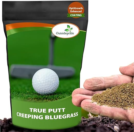 Outsidepride True Putt Perennial Creeping Bluegrass Seed - 1 Lb. Shade-Tolerant Bluegrass for Golf Courses & Home Putting Greens - Ideal for Dense, Fine-Textured Lush Turf in Low-Light Areas