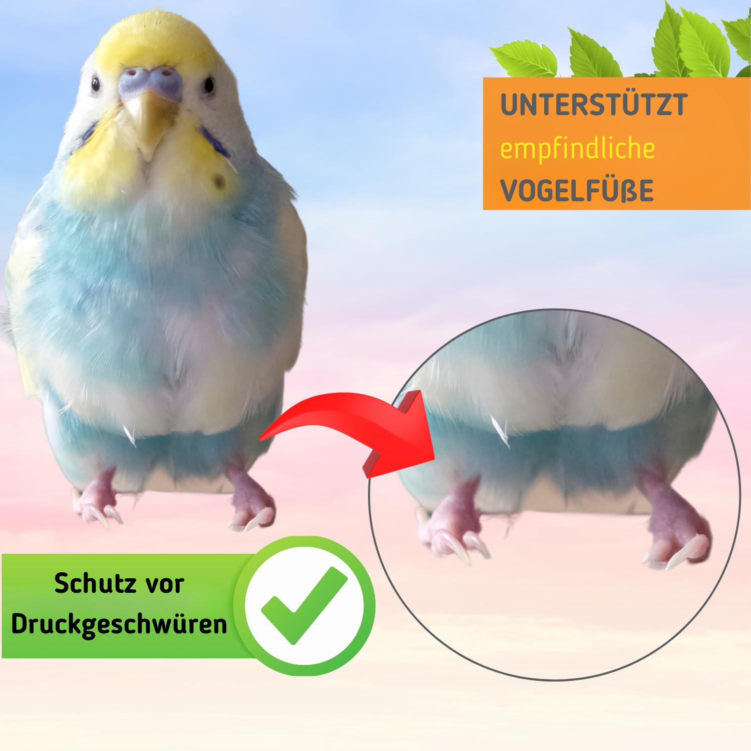 Vogelgaleria® Perch Natural Wood with Cotton Budgie Accessories for Bird Cage Extra Soft Also Suitable for Old and Sick Birds - Image 3