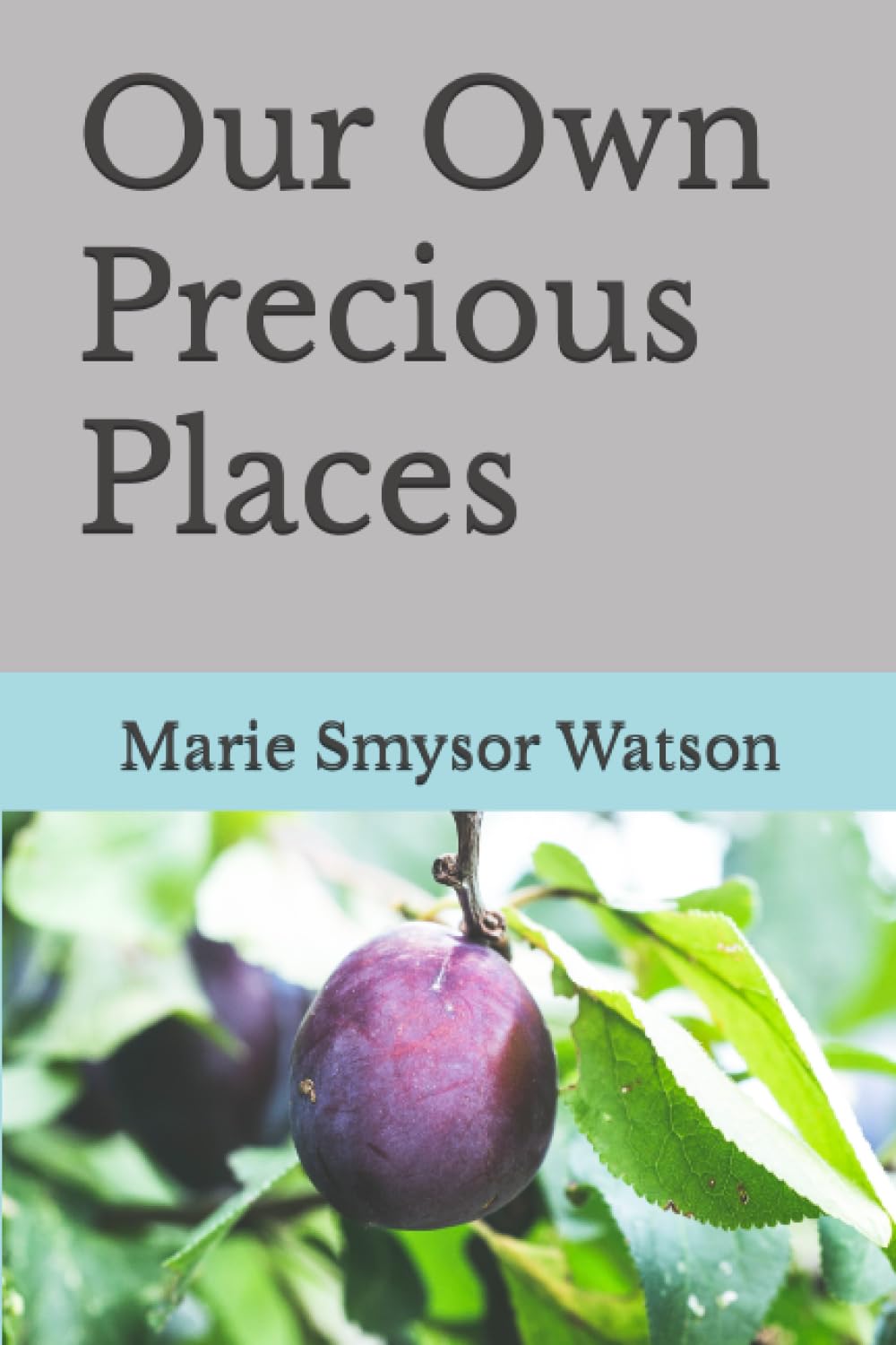 Our Own Precious Places