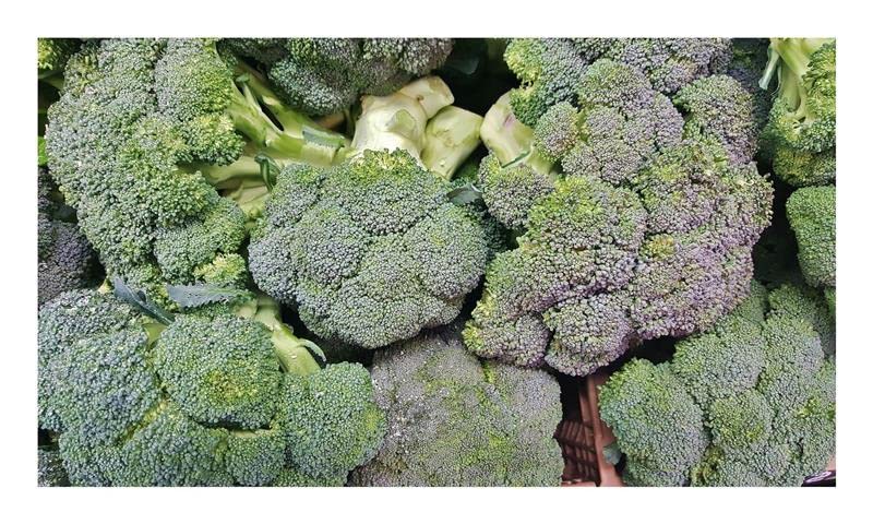 Pcs - 20x Brocoli Calabrese Atlantis F1 Brassique Oleracea Jardin Plantes Graines KS98 - Seeds & Plants Shop by Ipsa