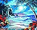 Rihe Paintworks Paint By Number Kits Blue Ocean 1620 Inch Frameless