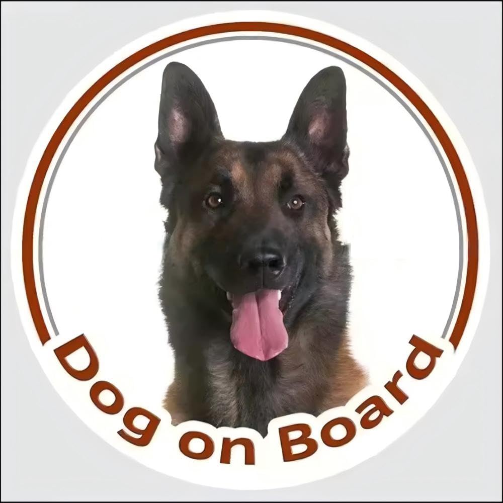 Belgischer Malinois Aufkleber,Lustig Dog On Bord Autoaufkleber, Reflektierend Wasserfest, für Stoßstange und Fenster (25cm/9.8 Inch)