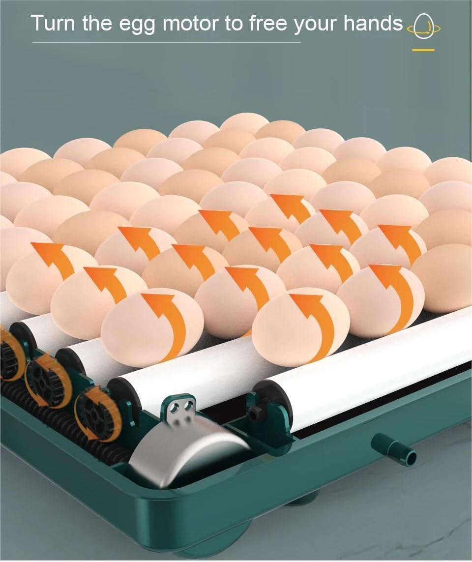 Couveuse Oeuf Automatique 10-36 Oeufs, Incubateur Oeuf Automatique avec Retournement Automatique des œufs, Ajout Automatique d'eau, pour Oeufs de Poule, Caille, Canard, Oies, Pigeons (24 Oeufs)