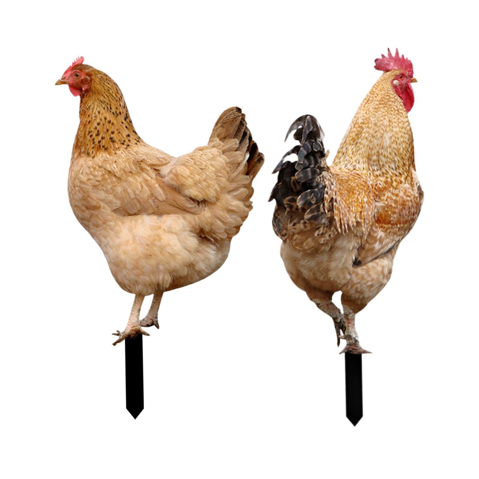 QUXVUIS Chicken Statue Garden Decorations Sign Fine Workmanship Chicken Statue For Outdoor Garden Decor Backyards Animal Stakes Sculpture, Style AB