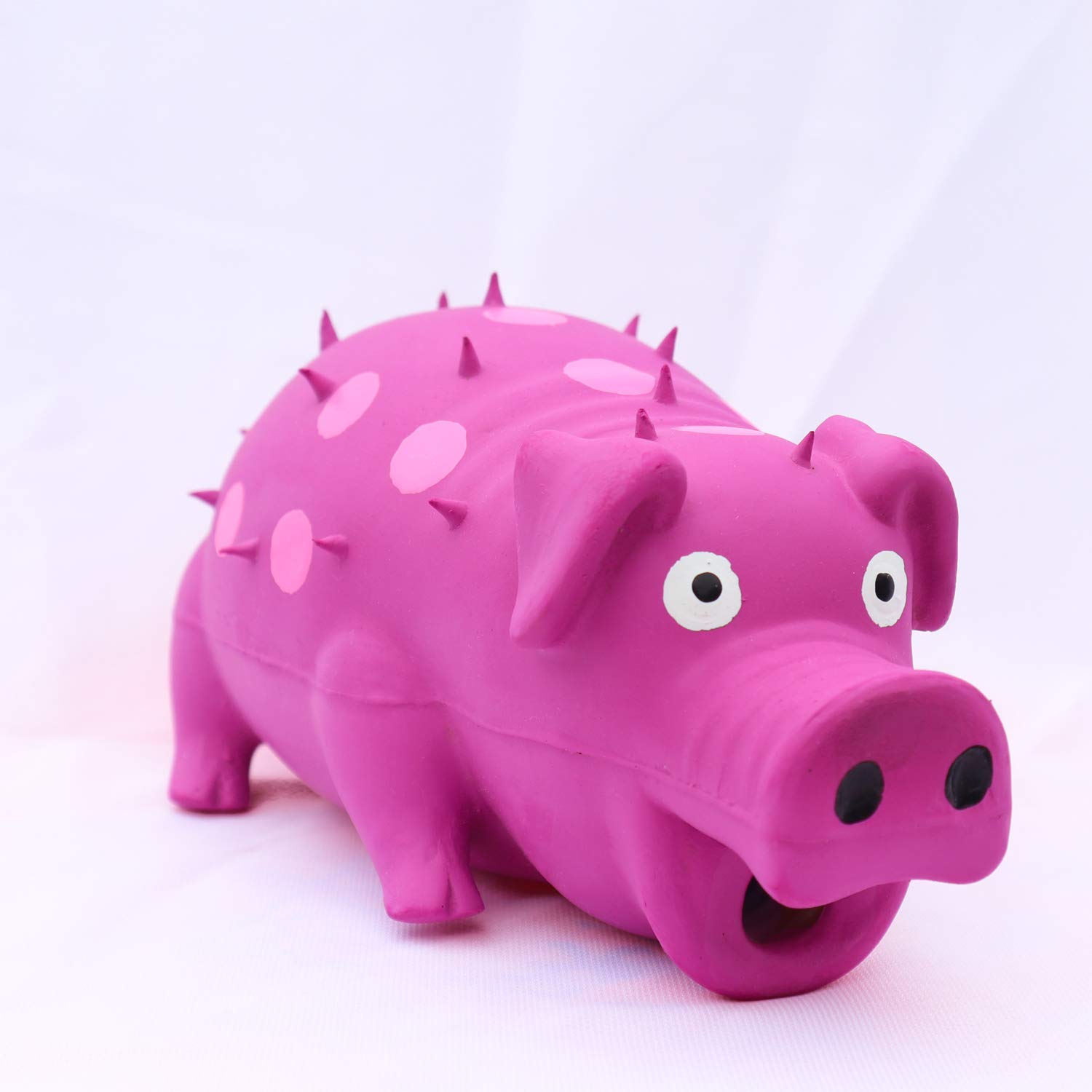 Why Does My Dog Sound Like A Pig