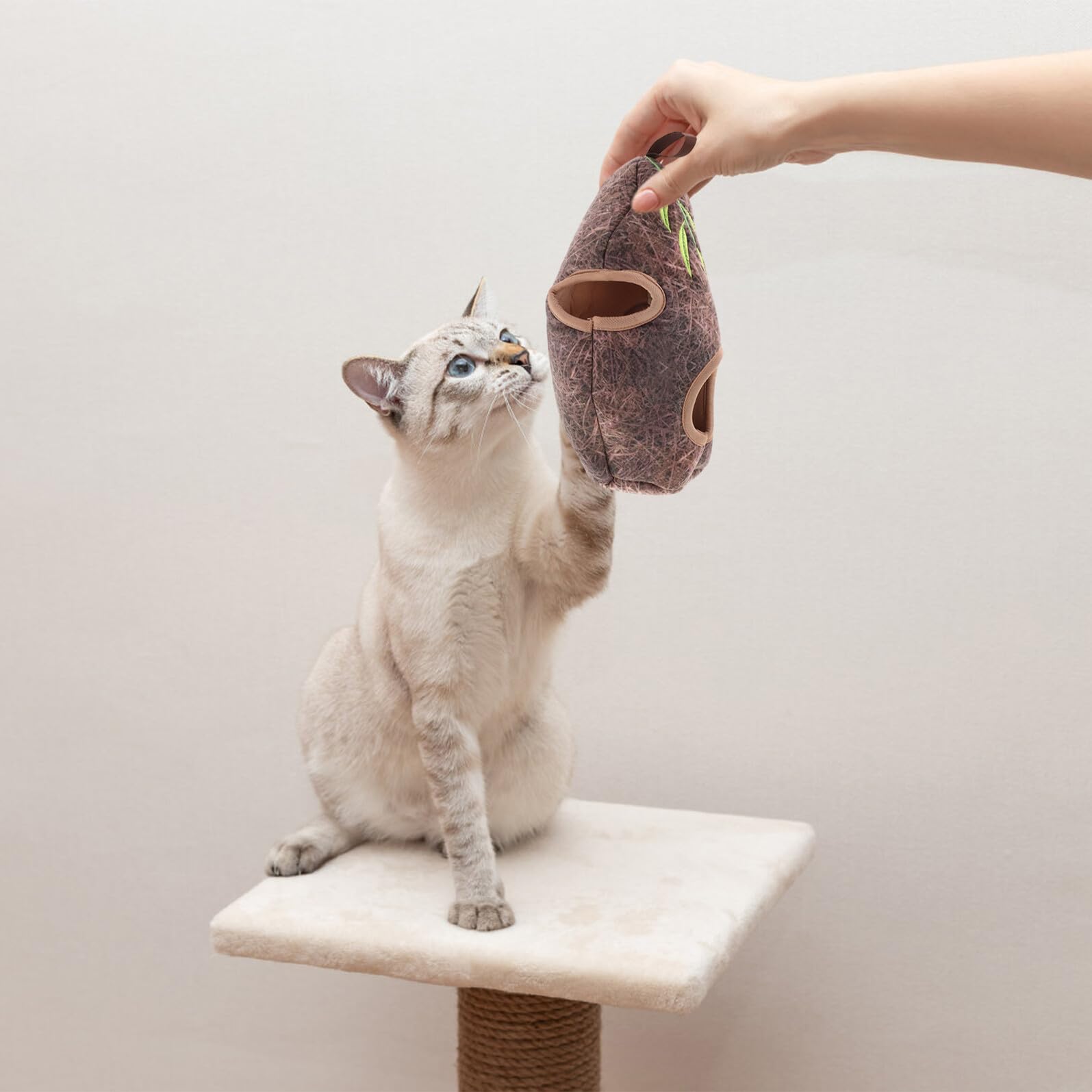 YARNOW Interaktives Katzenspielzeug Vogel Satz mit Plüschvogel und Baumhöhle Quietschspielzeug für Kätzchen und Katzen Indoor Beschäftigungsspielzeug