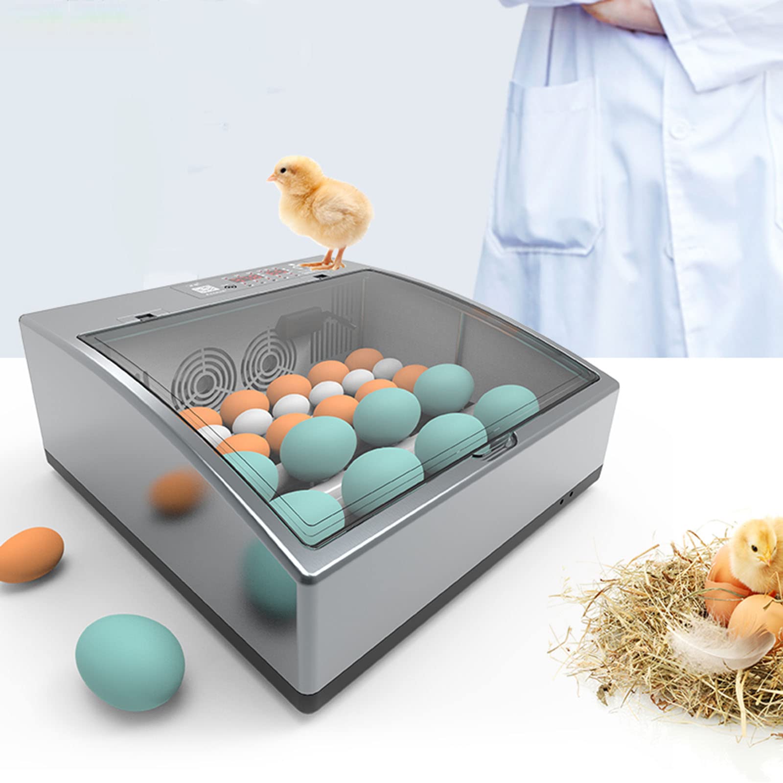 Buy Automatic Egg Incubator, Home Brooder with LED Candler, Poultry
