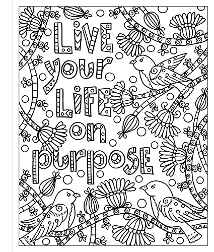 Zendoodle Coloring: Good Vibes: Uplifting Inspirations to Color and Display