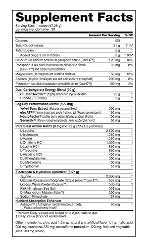 Nutrabio Leg Day Intra Carb Supplement -Amino Acid Eaa/Bcaa Formula – Comprehensive Electrolyte Blend For Recovery & Performance – Grape Berry #TOP1