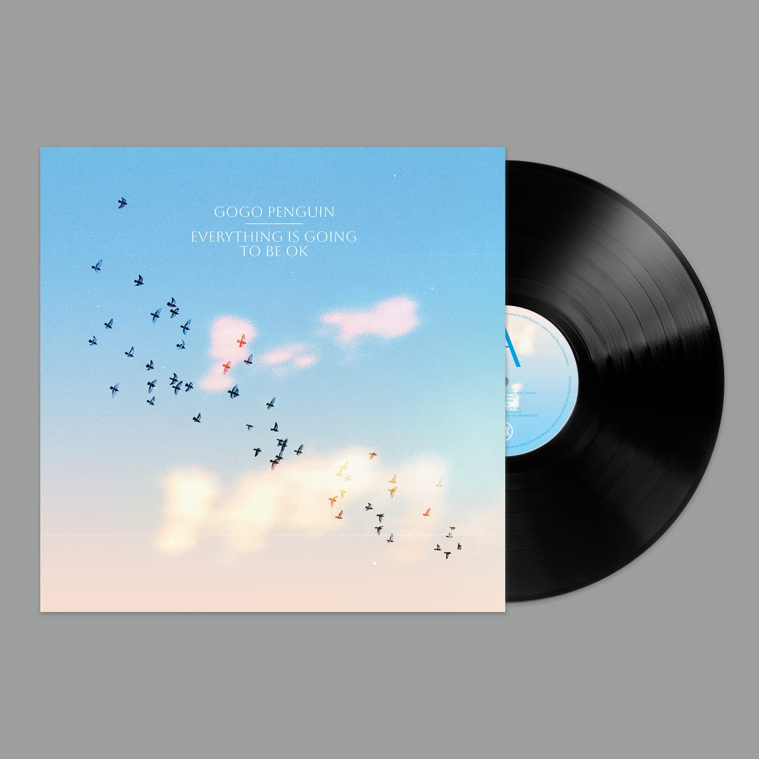 Everything Is Going To Be Ok [VINYL]