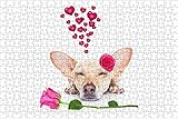 LHJOY