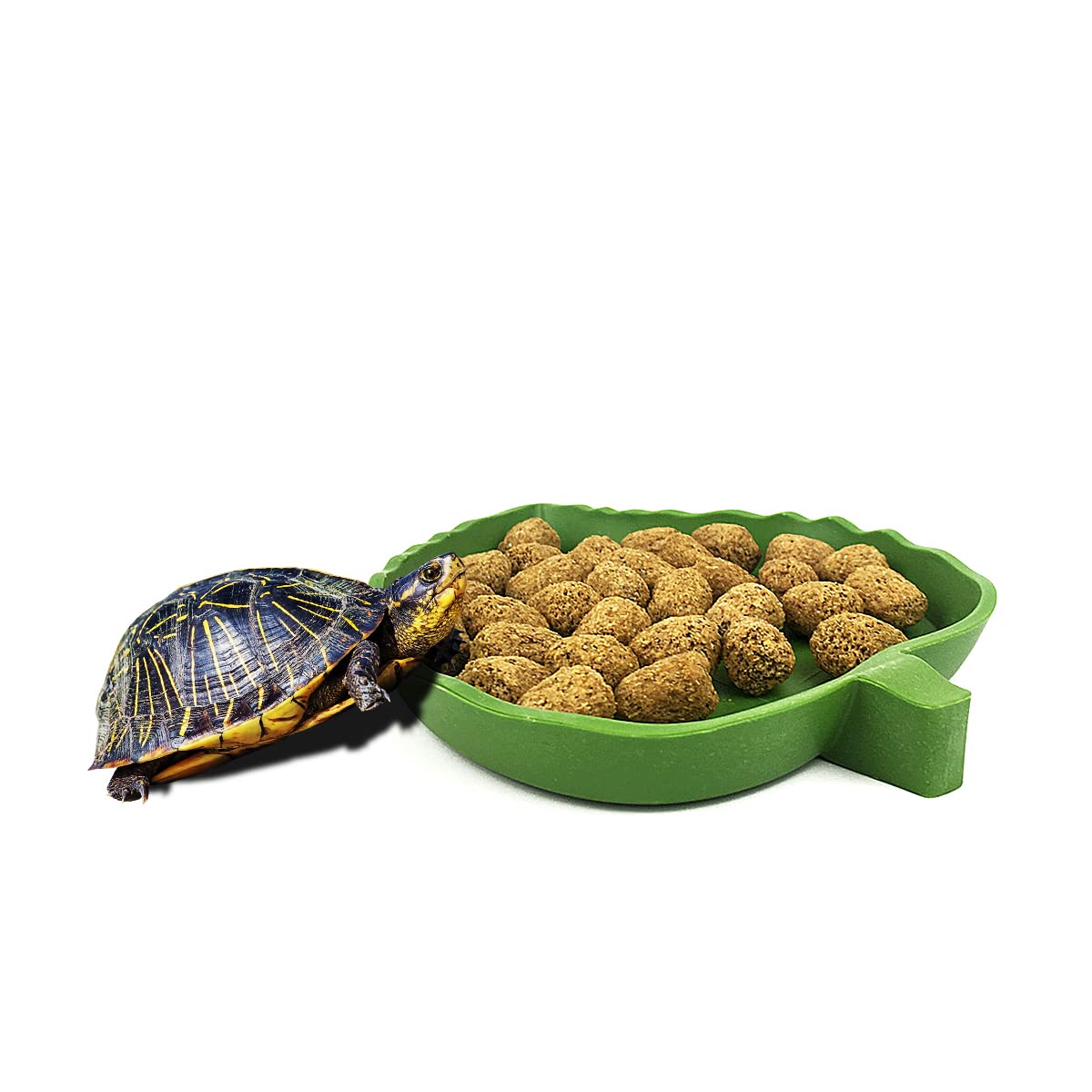 Jagowa Leaf-Shaped Reptile Bowls, Set Of 2 Sizes - Food & Water Dishes For Snakes, Lizards, Hamsters & Small Pets