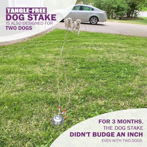 360° Swivel Dog Tie Out Stake Dog Anchor - 2025 Upgrade - Heavy Duty Stainless Steel Dog Yard Stake for Small to Large Dogs 6 PCS Dog Tethers Holds 1500Lbs of Pull Force Great for Yard Camping Outdoor - Image 5
