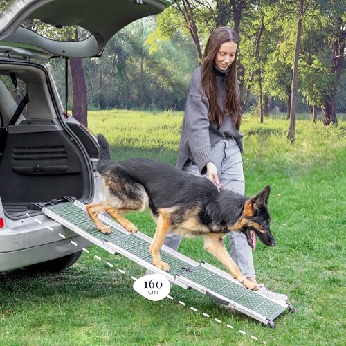 Hunderampe Auto Klappbar - Stabile und rutschfeste Hundeleiter Auto & SUV bis zu 90kg Belastbar - Teleskop Alu Rampe für große Hunde - Reflektierende Seiten - Hundetreppe - Befestigungsclip - Grün