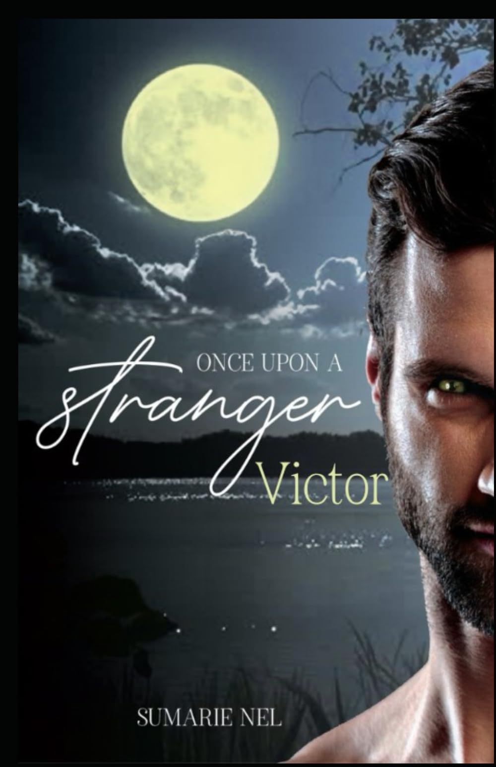 Once Upon A Stranger - Victor