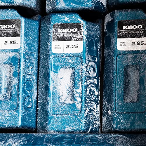 Snapklik.com : Performance Ice Blocks, Reusable Ice Packs For Coolers ...
