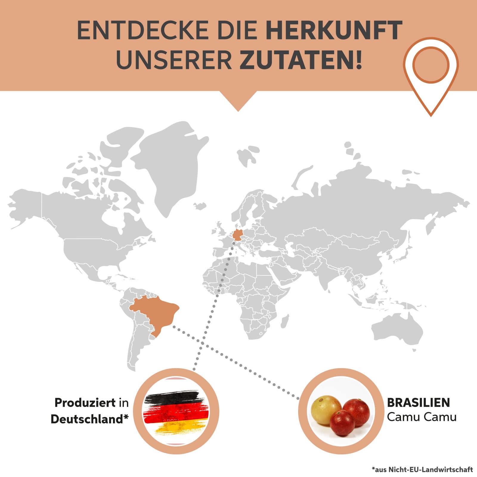 Camu Camu Tabletten 4000 Presslinge | Hochdosiert 4000mg Tagesdosis | 250mg Tabs natürliches Vitamin C in Rohkost-Qualität