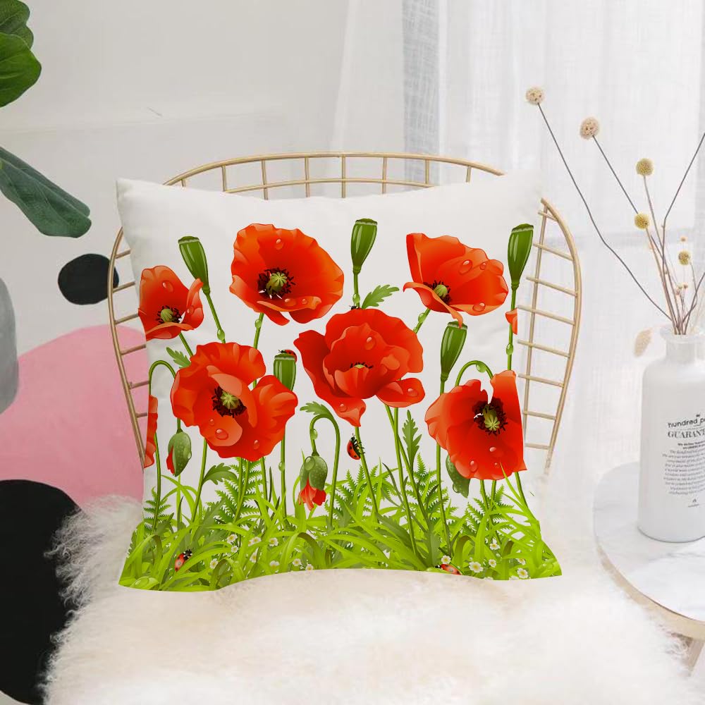 HYOSXW Cushion Cover,Throw Pillow Case Home Decorative for Living Room Bedroom Sofa Chair 16X16 Inch,Horizontal border with red poppy flower poppies chamomile poppies wildflowers,Pillowcase 40X40cm