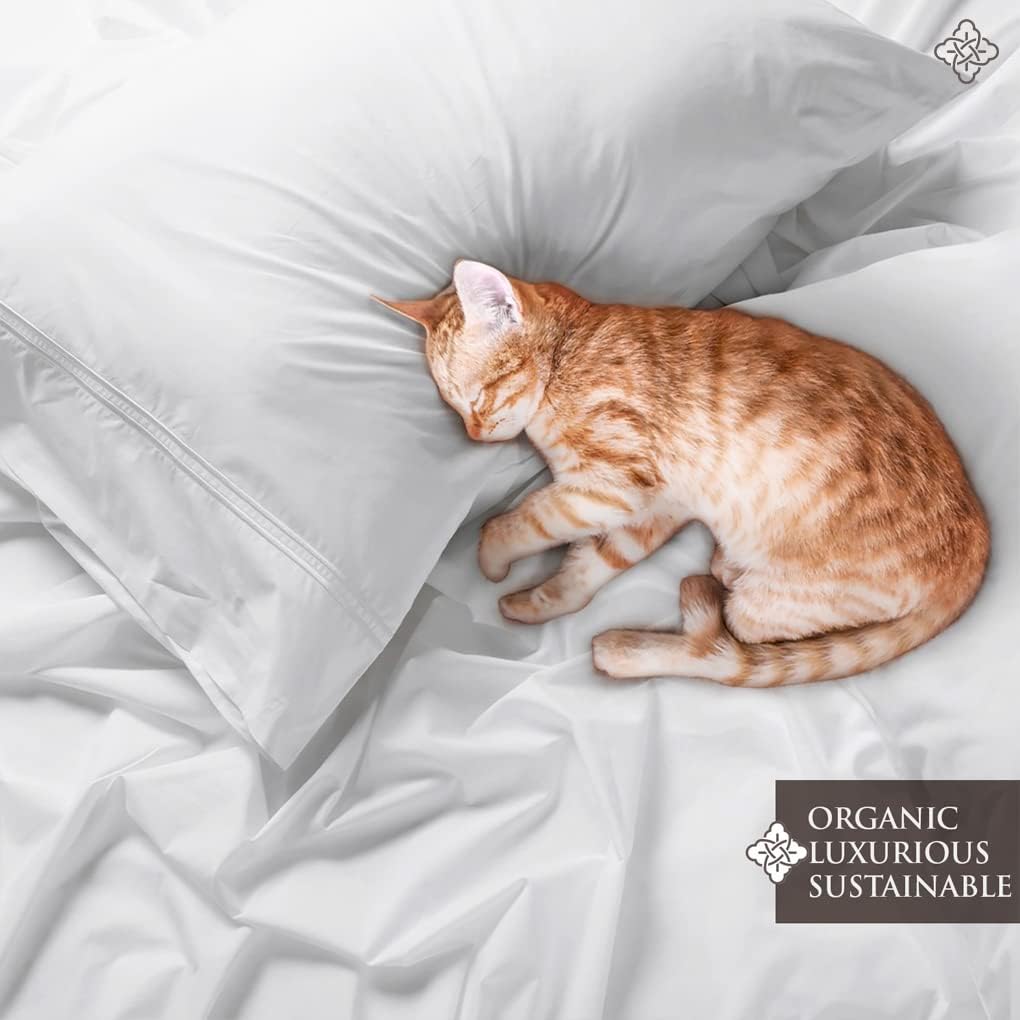 BIOWEAVES 100% Organic Cotton Percale Weave Sheets Queen – Crisp, Soft & Naturally Cooling, 300 Thread Count GOTS Certified Sheets for Queen Size Bed with 17” Deep Pocket – 4 Piece Set, White